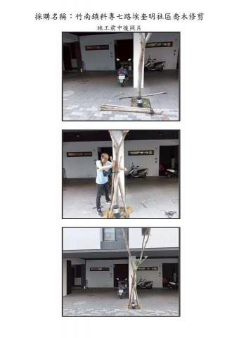 吉爾登工程有限公司 - 喬木支架固定