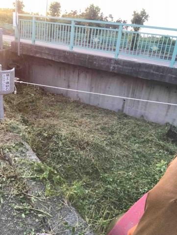 小胖割草 - 割草後