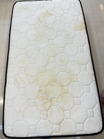 打擊蟎蟎安心清潔行丨床墊沙發除蟎專家｜到府服務｜寵物尿漬、小 - 