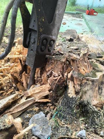 森澤企業社 - 樹頭清除怪手撕裂