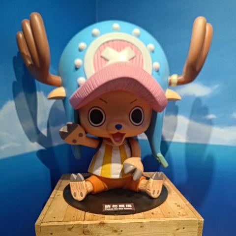 提供兼差服務的專家雷先生