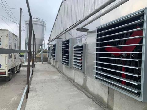 傑達國際 - 豬場通風與水濂降溫系統，提升動物福利與生產效率。