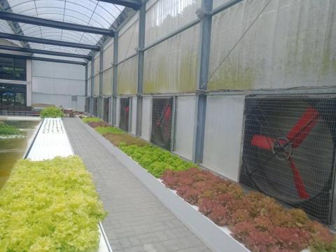 傑達國際 - 溫室規劃通風、降溫與濕度控制系統，提供穩定的生長環境，促進作物健康與產量提升。