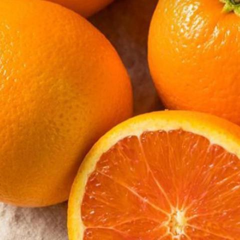 提供121服務的專家陳奕成