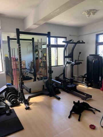 盧子揚 -  盧子揚 -