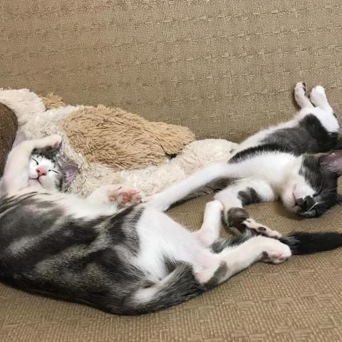 提供便宜旅館服務的專家ChenSunny