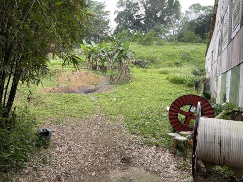 劉明鑫 - 果園除草 劉明鑫 - 果園除草