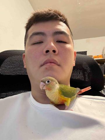 提供三重水電行服務的專家汪孫正