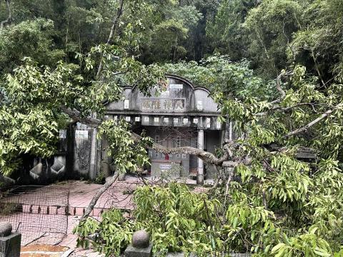 劉明鑫 - 墓園除草樹枝修剪 劉明鑫 - 墓園除草樹枝修剪