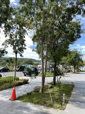 劉明鑫 - 樹木、草坪修剪 劉明鑫 - 樹木、草坪修剪