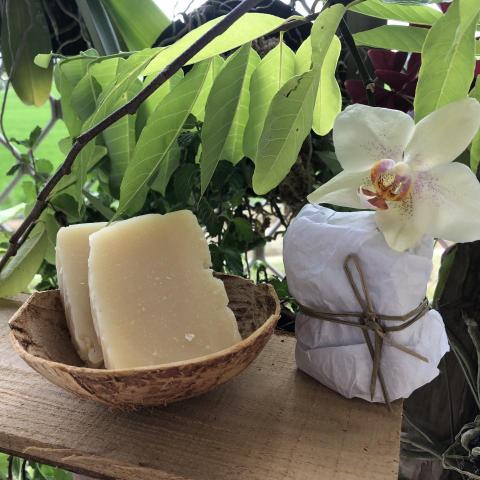 Solani療癒所 - 手工肥皂（洗髮皂、家事皂，純粹無添加）販賣中。