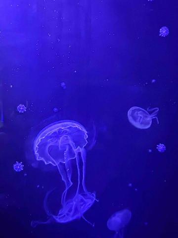 提供寄貨格式服務的專家李和穎