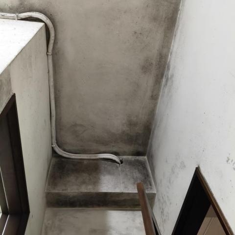 余先生 -  余先生 -