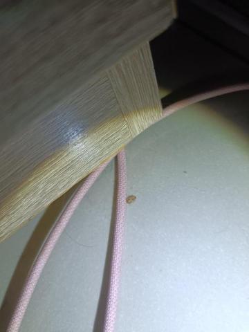 大佶環衛 - 土城莊園街