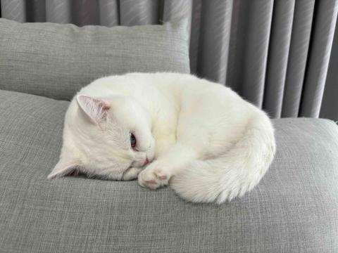 楊琬渝 楊琬渝