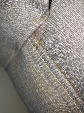 大佶環衛 - 土城莊園街