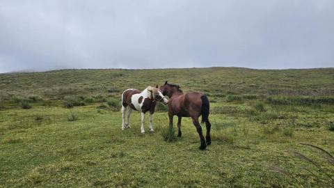 元桑帶你玩日本 包導遊＆司機 - 阿蘇火山