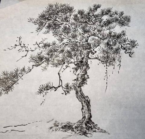 林筠 - 水墨松樹示範教學