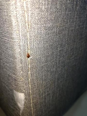 大佶環衛 - 土城莊園街