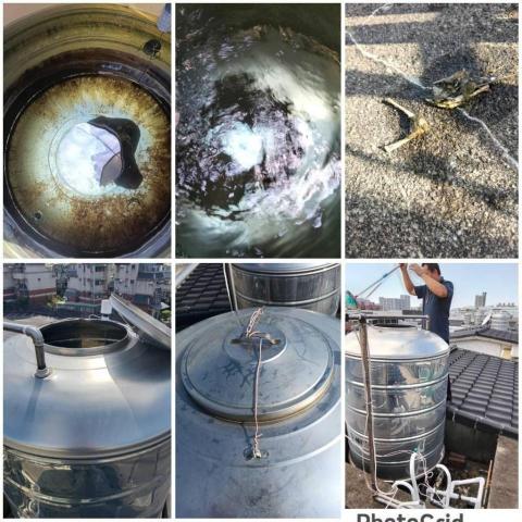 田侑淨水器設備 - 客戶張先生
家中的水塔飛開了,處理鳥屍體在水塔裡面,
四樓到一樓兩顆水塔清洗保養
台北鶯歌區鶯桃路365巷 田侑淨水器設備 - 客戶張先生
家中的水塔飛開了,處理鳥屍體在水塔裡面,
四樓到一樓兩顆水塔清洗保養
台北鶯歌區鶯桃路365巷