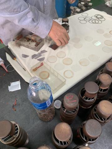 林敬廷 - 火焰探測器 鏡頭整修