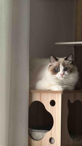 提供油漆行桃園服務的專家坤倢工程行