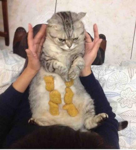程育安 程育安