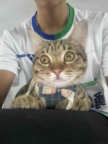 提供羽球規則服務的專家林哲宇