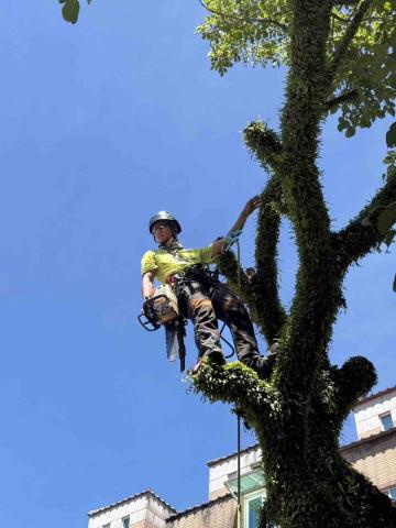 UmArbor 樹影工作室 - 