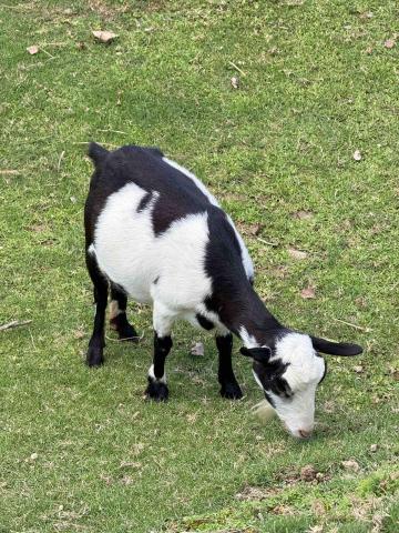 提供所得稅試算表沒收到服務的專家劉怡菁