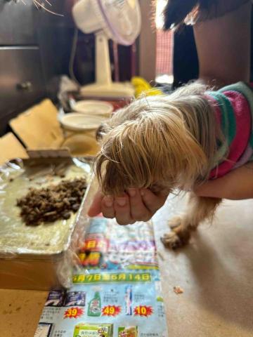 劉妤真 - 照顧看不到的老狗狗，慢慢餵食