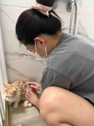 劉昀靜 -  劉昀靜 -