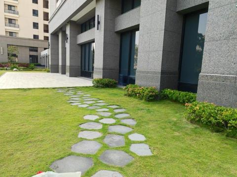 台南園藝行 - 灌木草皮維護