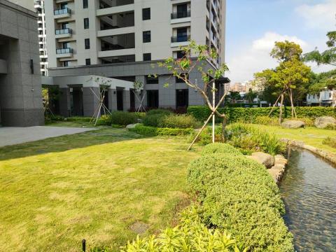 台南園藝行 - 灌木草皮維護