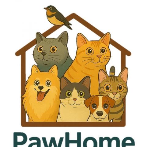 提供竹南服務的專家PawHome爪子上的幸福