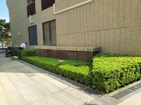 台南園藝行 - 灌木修剪維護