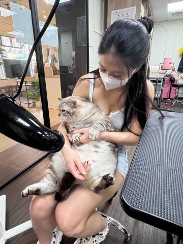 劉昀靜 -  劉昀靜 -