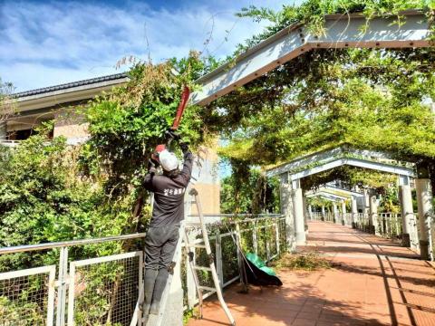 于森園藝企業社 （林先生） - 校區定期維護
