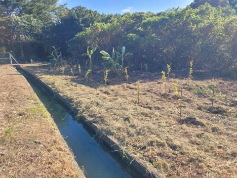 于森園藝企業社 （林先生） - 申辦農用證明施工後