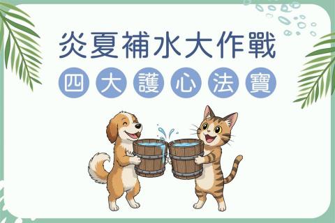 Ting Yi的設計品牌接案工作室 - IG圖文設計服務
1. 【風格彈性承諾】專業與親切，切換自如
-嚴肅主題，輕鬆呈現
-專業主軸，精準不失焦
2. 【溝通效率承諾】快速理解，直達人心
-視覺化重點
-縮短決策時間
3. 【完整配套承諾】從海報到社群，全面覆蓋
-多媒體適用
-行動呼籲清晰
無論您的品牌風格是專業簡約，還是像「炎夏補水」一樣的清新活潑，我們都有能力將其轉化為高成效的宣傳品。