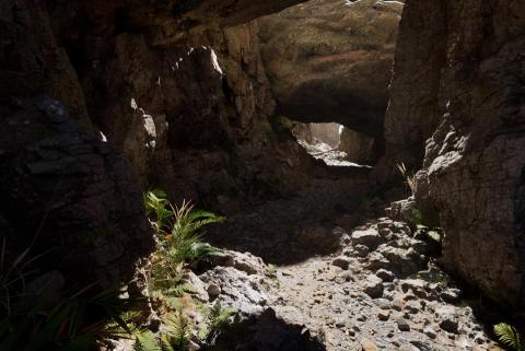 侯瀚翔 - Unreal Engine 5場景設計
製作軟體：Unreal Engine 5