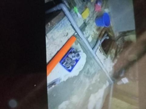 向誠高壓水刀 包通 抓漏 壁癌 包你滿意 - 