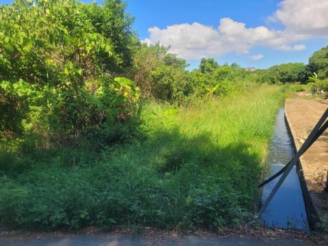 于森園藝企業社 （林先生） - 申辦農用證明施工前