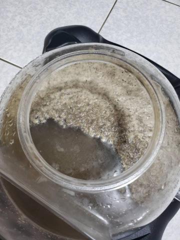 爾冬 - ❓你以為，讓你過敏的只有塵蟎嗎
還有灰塵、粉屑、毛髮，每天陪你睡覺
多的是～你不知道的事