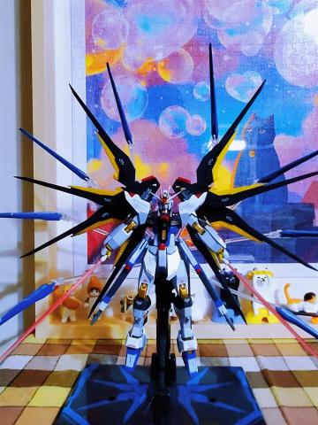 爾冬 - ✅素組
HG、RG、MG、MGEX、PG、SD/BB……
其餘規格，詳談