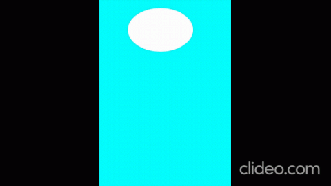 zoo - 當社畜累累了!  chill    life  吧!