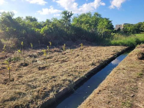 于森園藝企業社 （林先生） - 