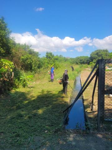 于森園藝企業社 （林先生） - 