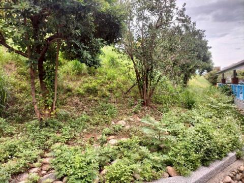 于森園藝企業社 （林先生） - 