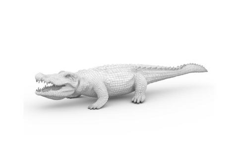 侯瀚翔 - 生物模型
製作軟體：MAYA、ZBrush、Photoshop、Substance Painter、Arnold、TopoGun